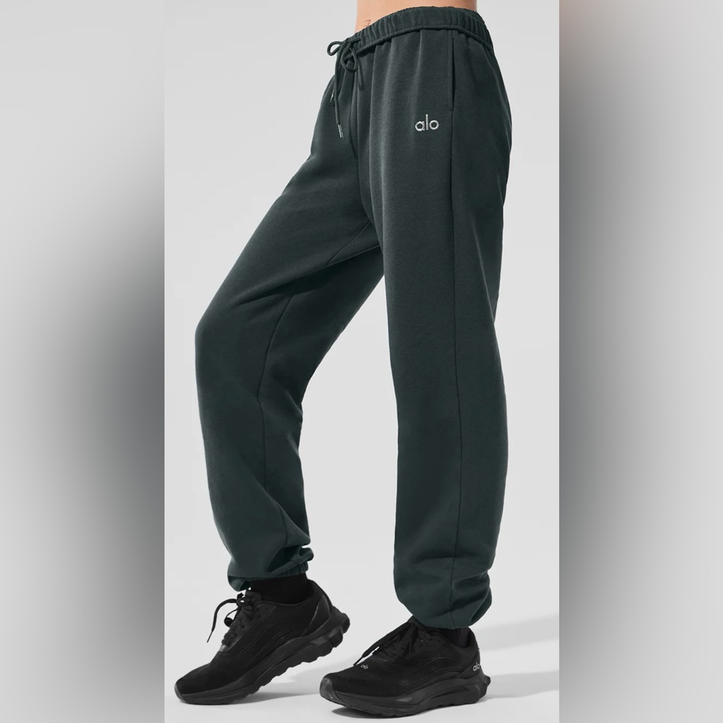 Nwt Alo Yoga Accolade Sweatpants Limited Edition Dark Cactus Size Xl Unisex